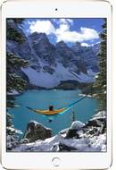 Apple iPad Mini 4 WiFi Cellular 64GB