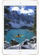 Apple iPad Mini 4 WiFi Cellular 64GB