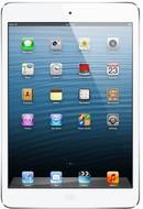 Apple iPad mini 64GB WiFi + Cellular