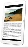Archos 101 Platinum