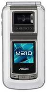 Asus M310