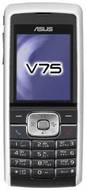 Asus V75