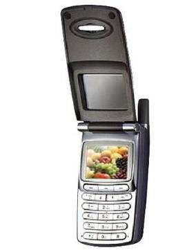 Bird S1160 Plus