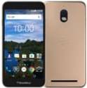 Blackberry Aurora