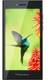 Blackberry Leap
