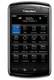 Blackberry Storm