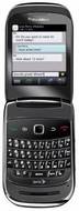 Blackberry Style 9670