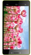 BLU Vivo 4.8 HD