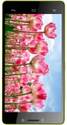 BLU Vivo 4.8 HD