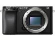 Sony Alpha ILCE-6100 (Body) Mirrorless Camera price in India