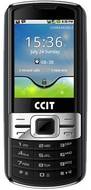 CCIT 3010