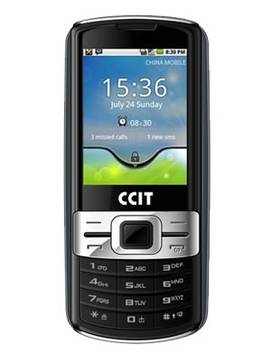 CCIT 3010