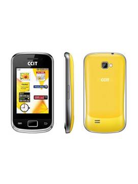 CCIT 5301