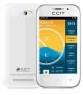 CCIT W1