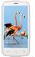 Celkon A119 Signature HD