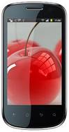 Celkon A19
