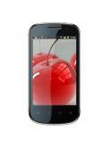 Celkon A19 Price
