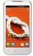 Celkon A22