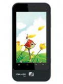 Celkon C88 Price