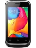 Champion My Phone 36 Price