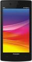 Champion My Phone 41