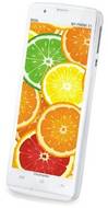 Champion My Phone 51