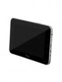 Champion Wpad 7.1 Price