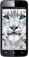 Colors Mobile Xfactor X122 Bold