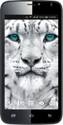 Colors Mobile Xfactor X122 Bold
