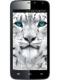 Colors Mobile Xfactor X122 Bold