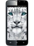 Colors Mobile Xfactor X122 Bold Price