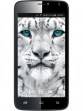 Colors Mobile Xfactor X122 Bold