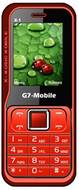 G7 X1