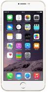 Greenberry 6 Plus