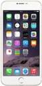 Greenberry 6 Plus