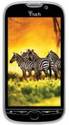 HTC myTouch 4G