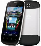 Huawei Vision