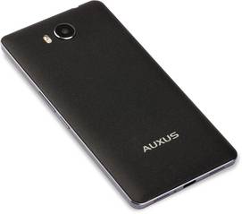 IBerry Auxus 4X