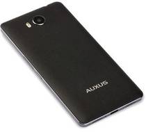 IBerry Auxus 4X