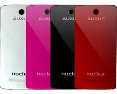 IBerry Auxus Nuclea N1