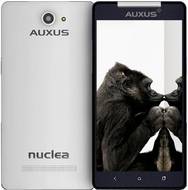 IBerry Auxus Nuclea N1