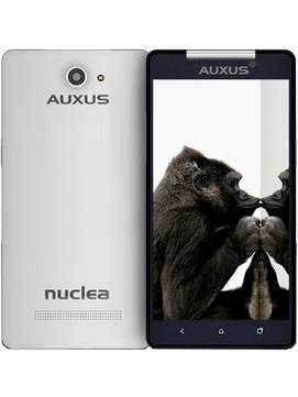 IBerry Auxus Nuclea N1