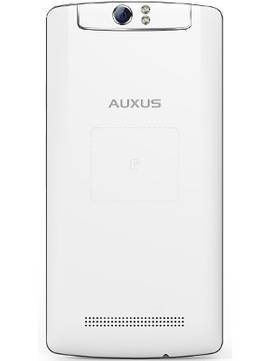 IBerry Auxus One