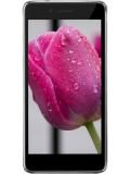 Intex Aqua Freedom Price