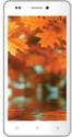 Intex Aqua Life V