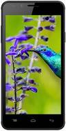 Intex Aqua Lions E3