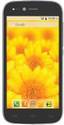 Intex Aqua Slice