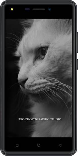 Intex Elyt e6