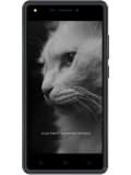 Intex Elyt e6 Price