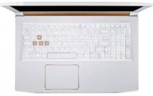 Acer Predator Helios 300  PH315-51 (NH.Q4HSI.004) Laptop (Core i7 8th Gen/16 GB/1 TB 256 GB SSD/Windows 10/6 GB)